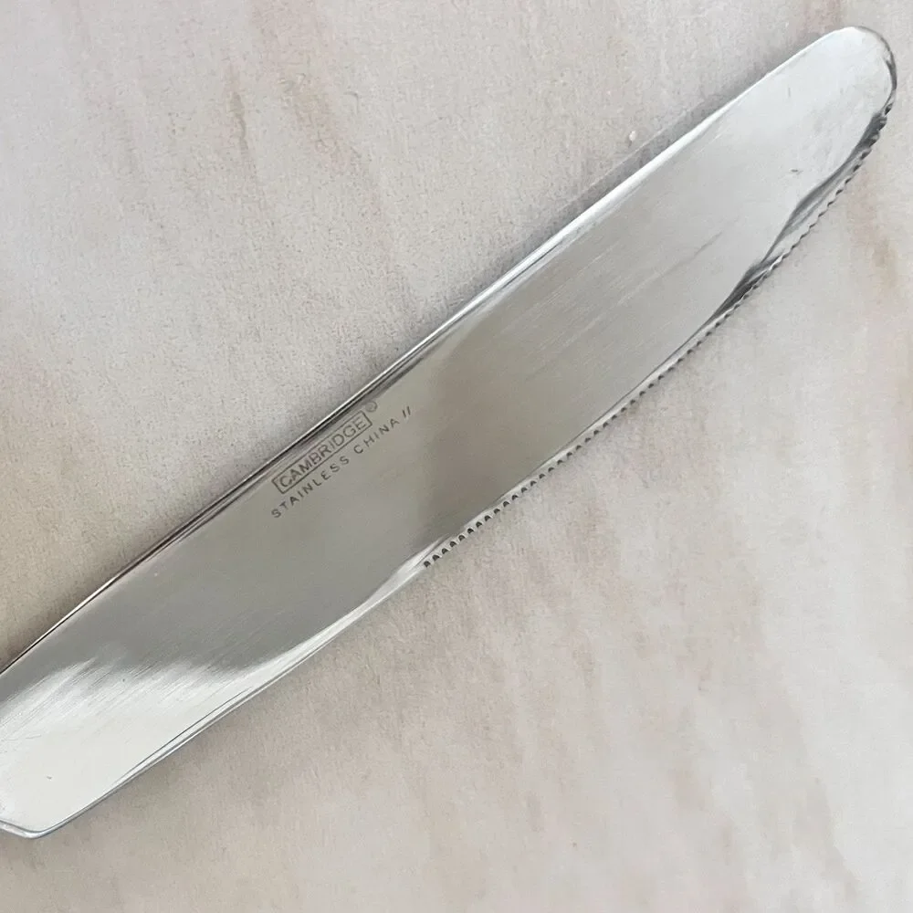 4pc CAMBRIDGE Rendezvous Stainless Dinner Knife 9 in Flatware Hammered Round Tip